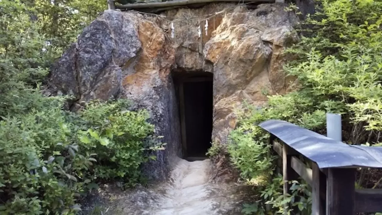 低山 ハイキング 関西 大文字山