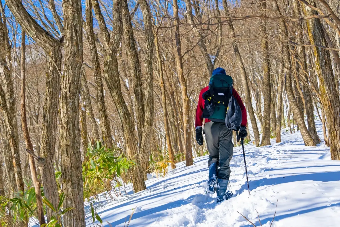 【25-26年版】日差しと寒さから身を守る!冬の中低山登山におすすめの防寒キャップ12選!