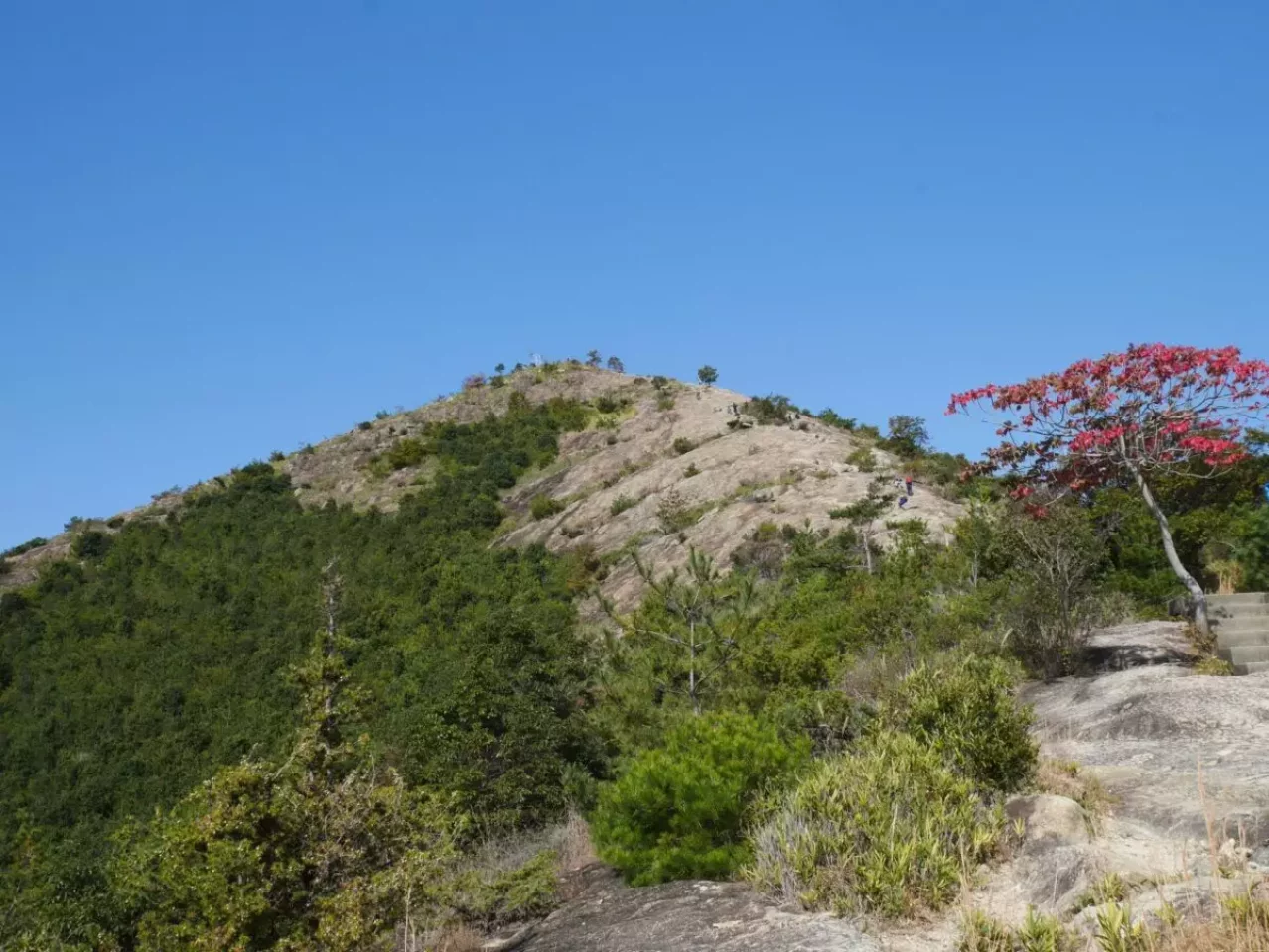 3月 登山 おすすめ 高御位山