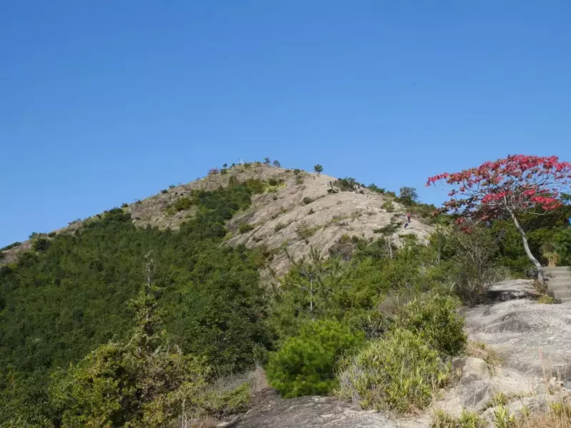 3月 登山 おすすめ 高御位山