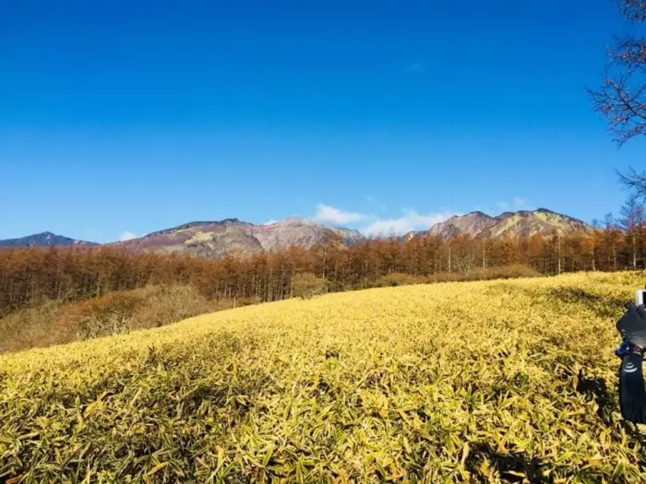 日光国立公園マウンテンランニング大会で楽しめる絶景