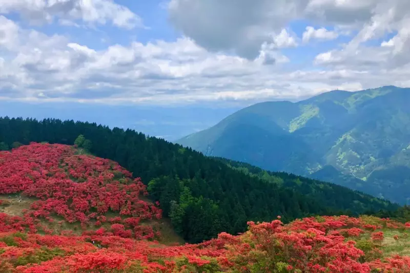 春山 登山 おすすめ