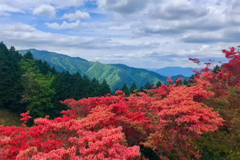 春山 登山 おすすめ 大和葛城山