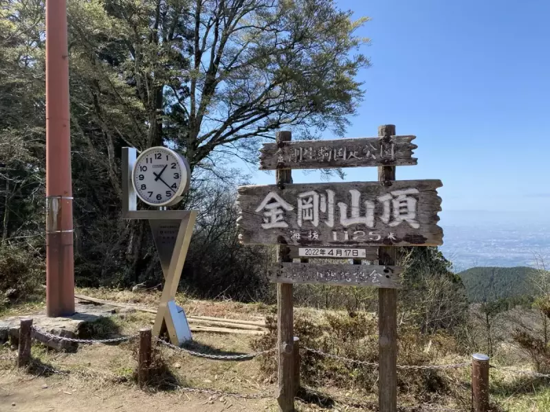 4月 登山 おすすめ 春山 金剛山