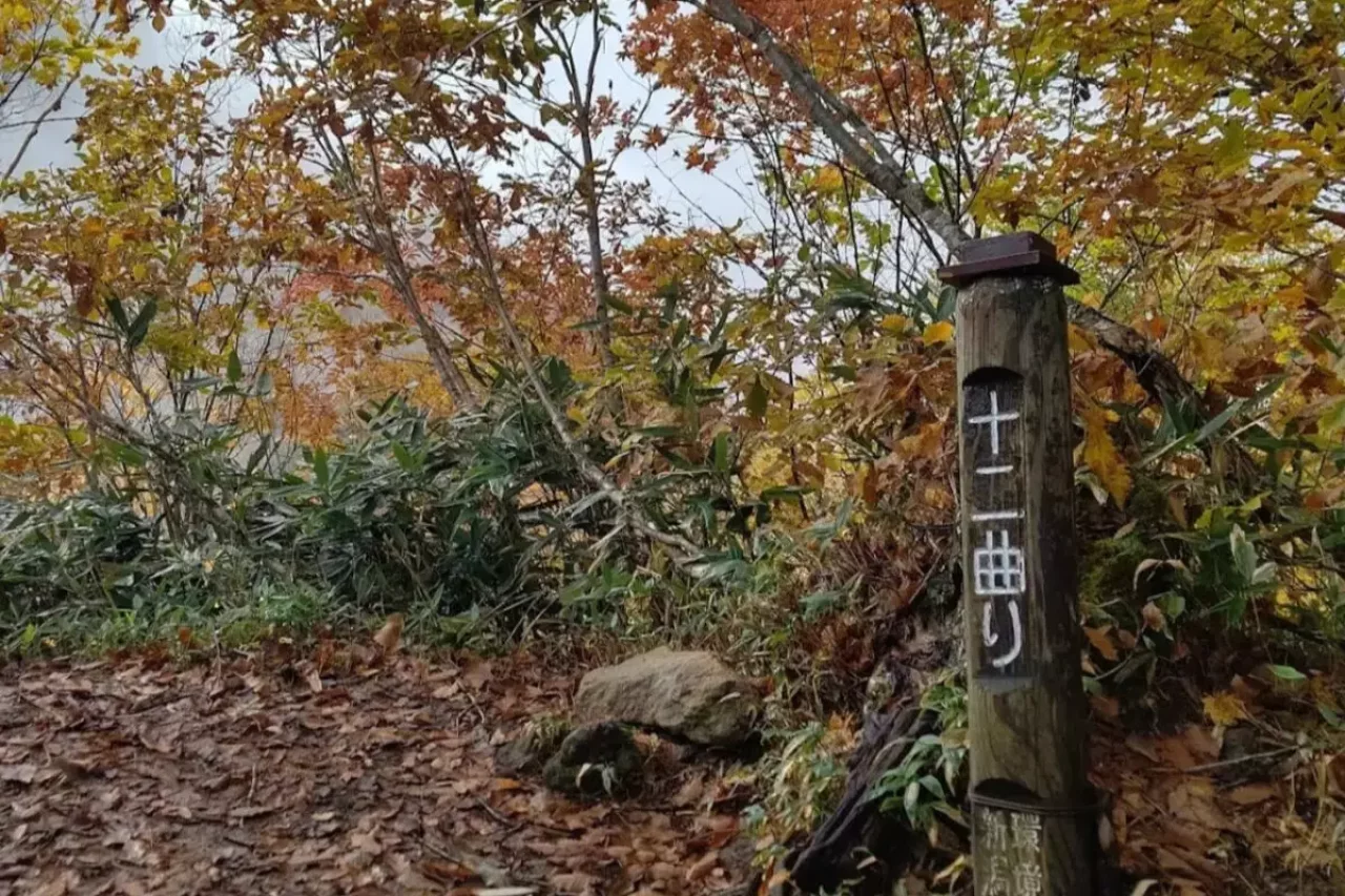 十二曲りの急登