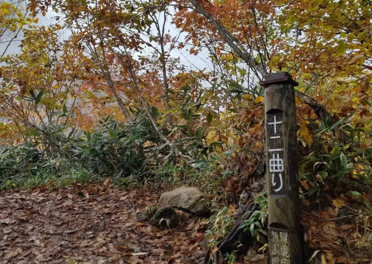 十二曲がりの標識