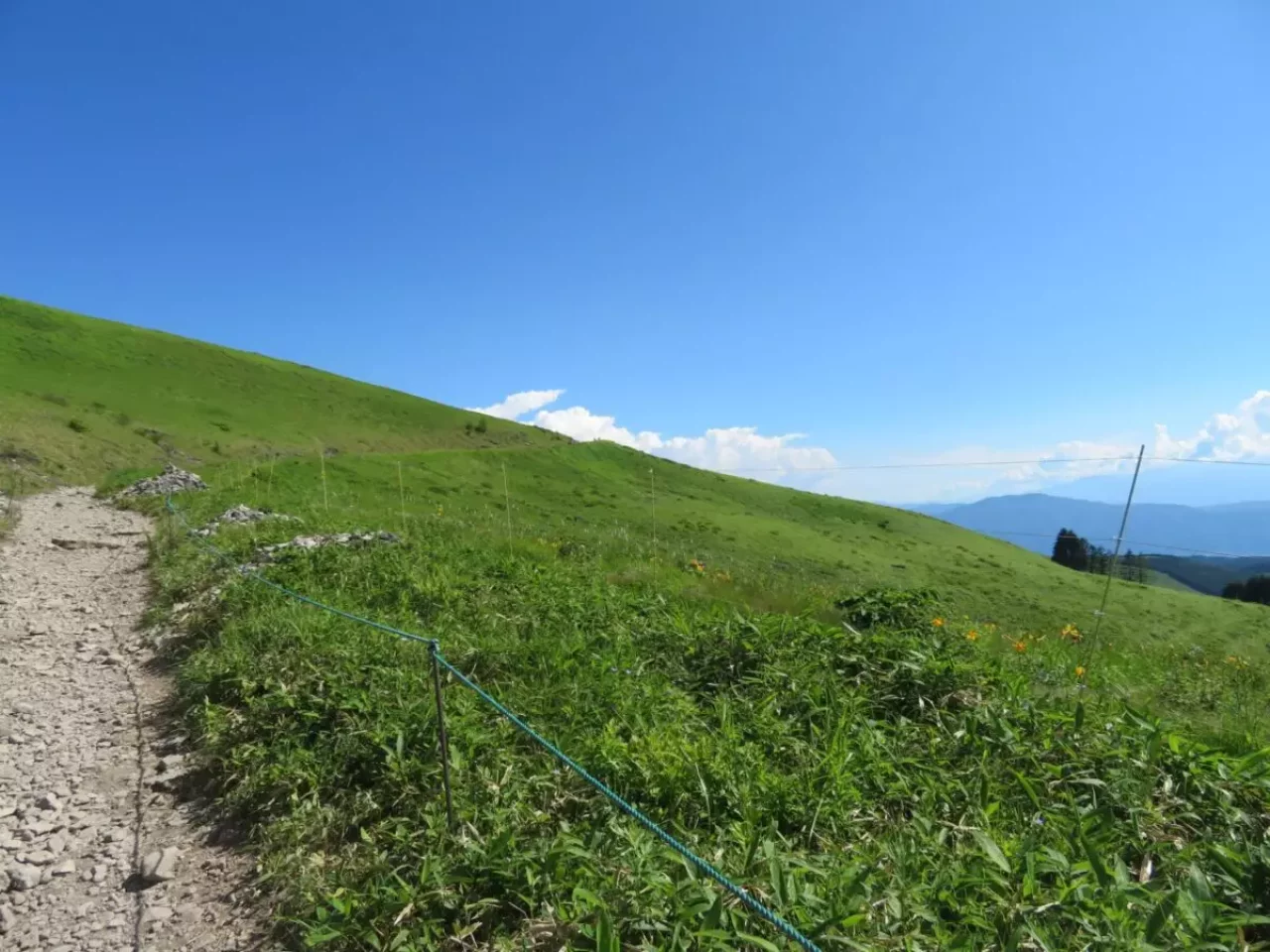 霧ヶ峰 登山 登山道