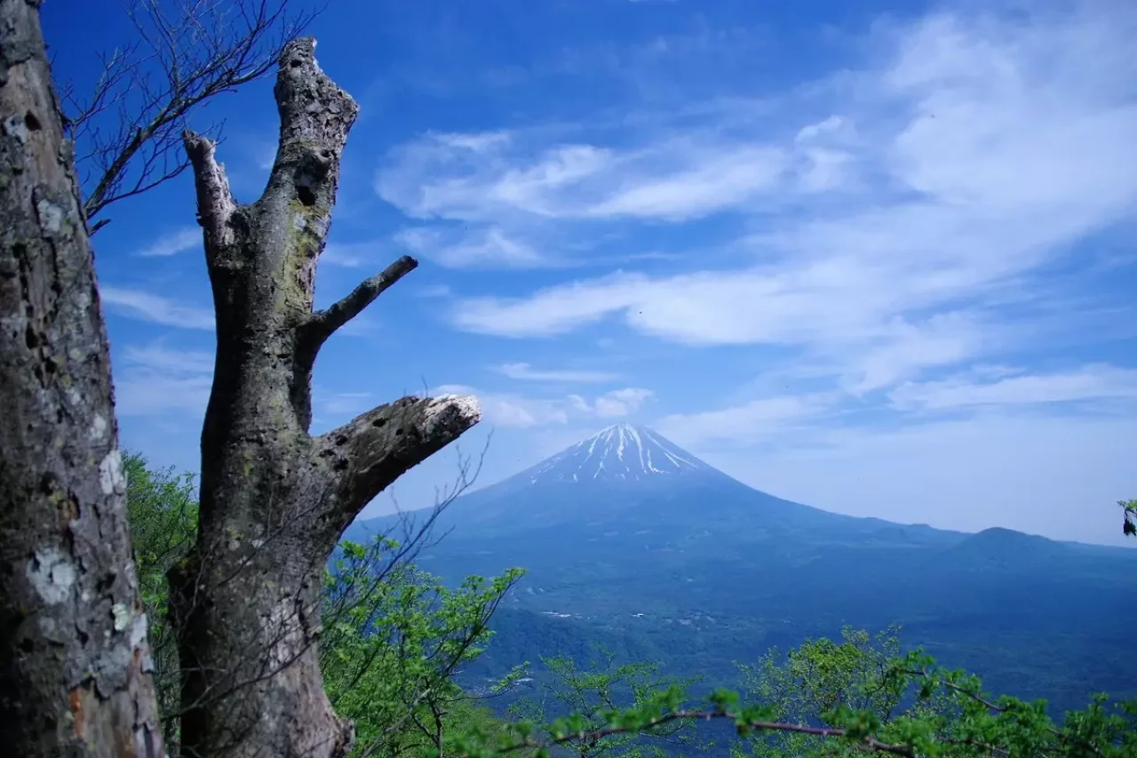 王岳 鬼ヶ岳 富士山