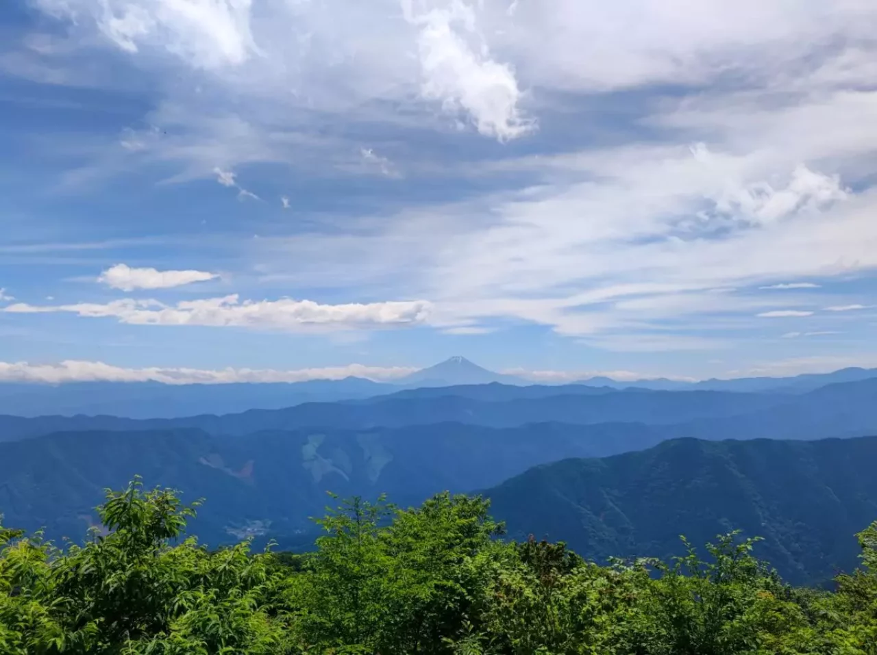 縦走登山 おすすめ 眺望 大岳山