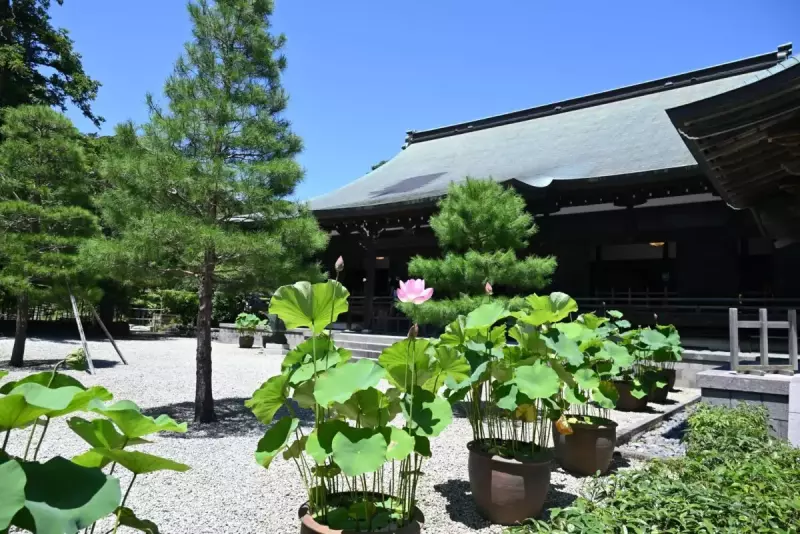 大平山 登山 建長寺