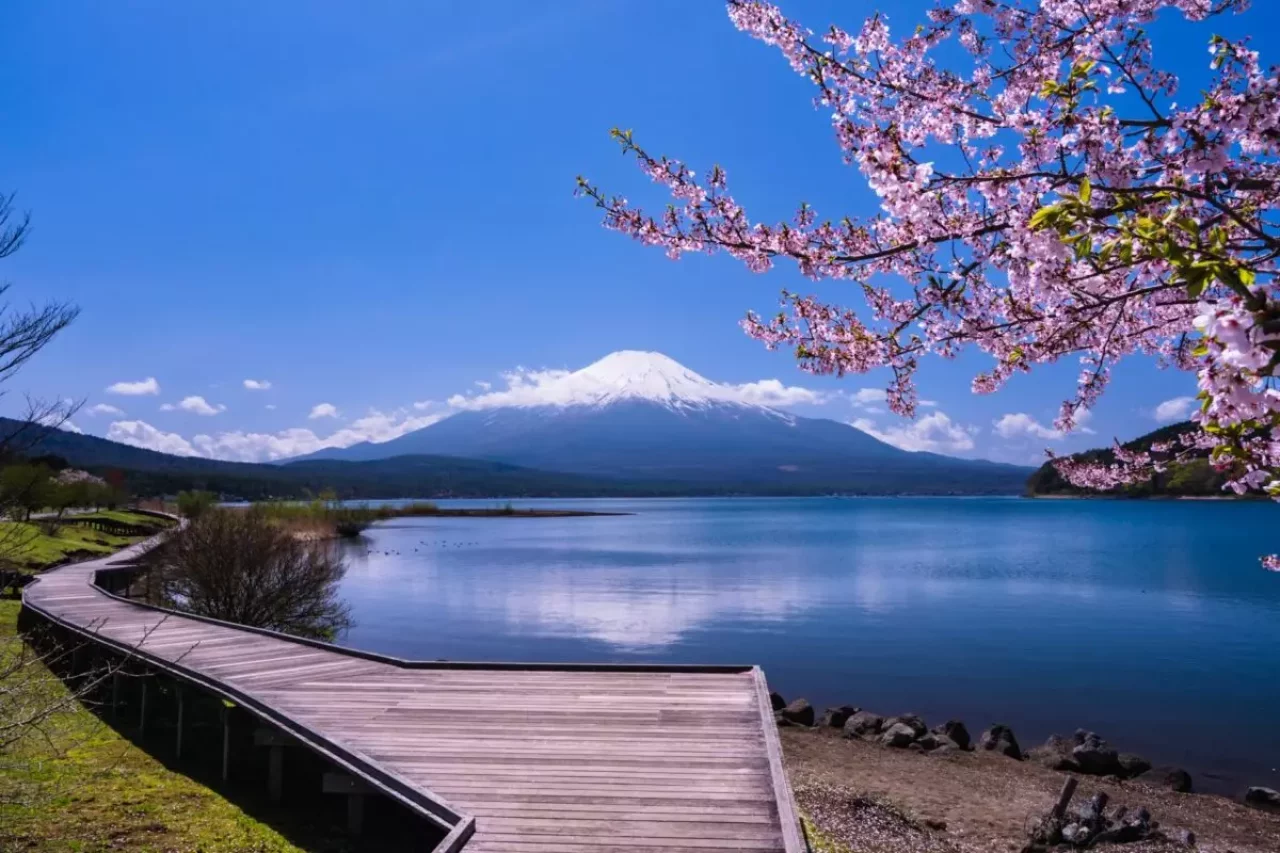鉄砲木ノ頭 登山 観光