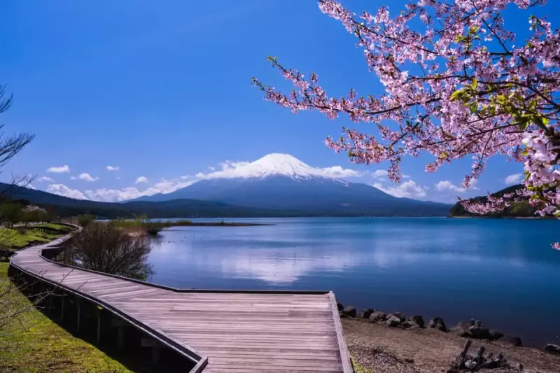 鉄砲木ノ頭 登山 観光
