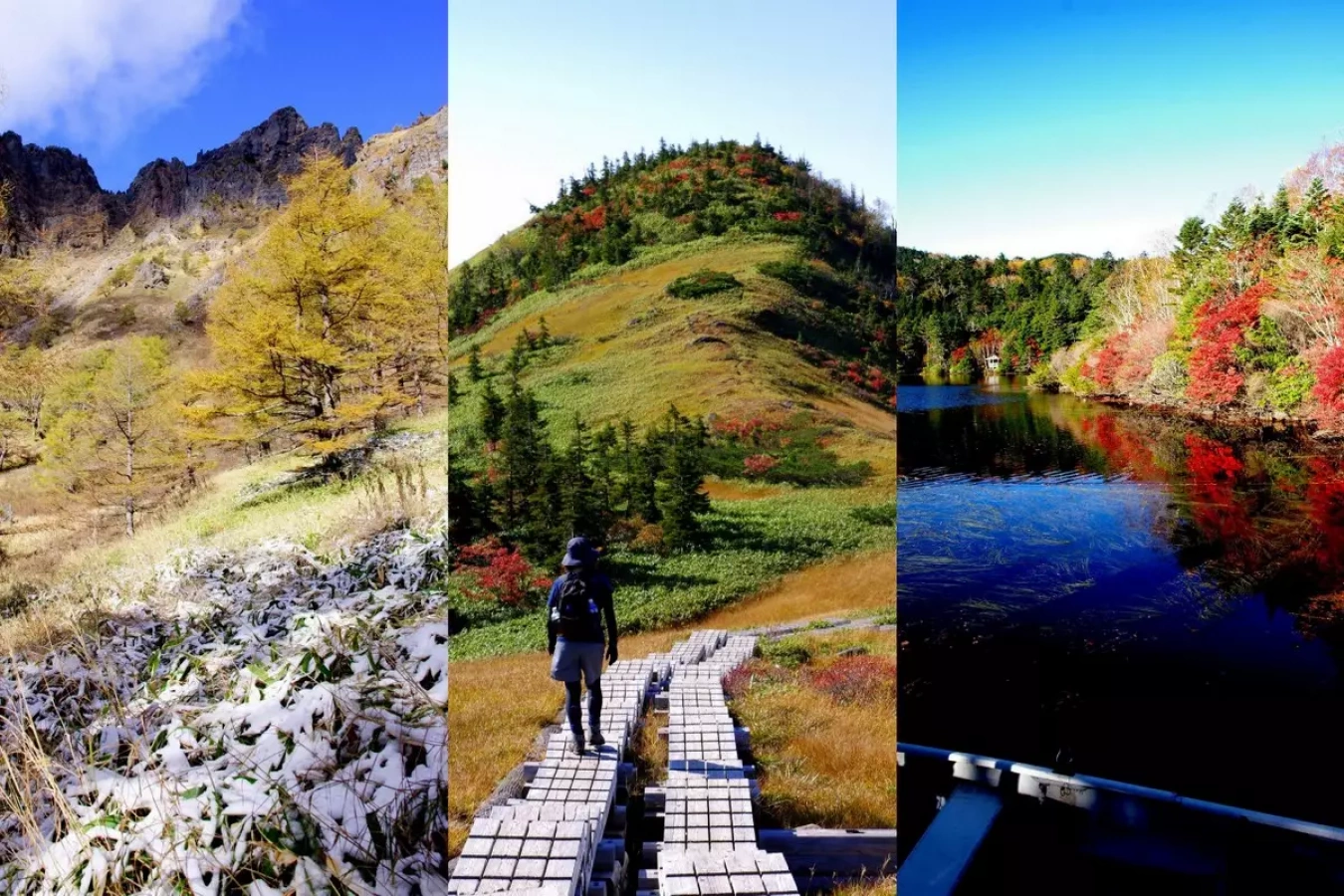 【おすすめの紅葉登山】苗場山・浅間山・白駒の池 麗しの紅葉3選