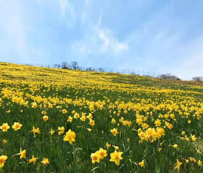 春山 登山 おすすめ 蓬莱山