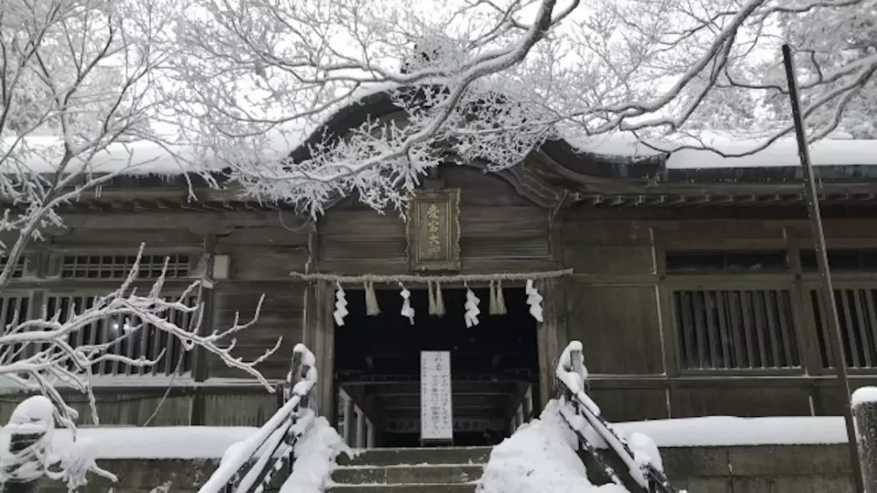 低山 ハイキング 登山