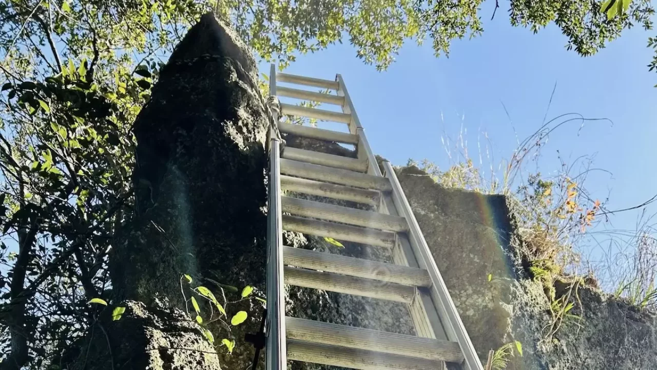 沼津アルプス 日守山〜大平山