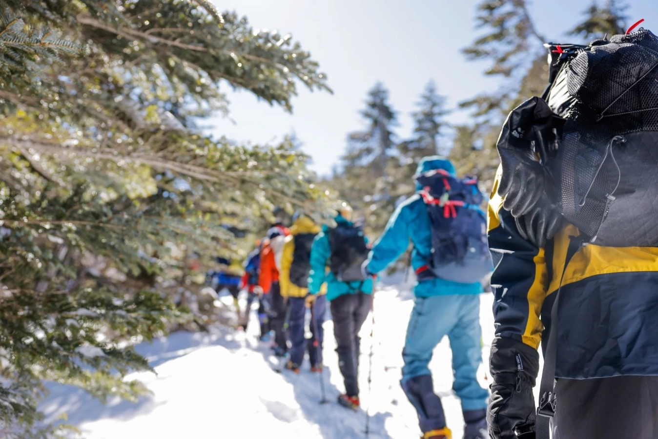 【25-26年版】帽子を使い分けて安全で快適な冬山登山を!おすすめのヘッドウェア総まとめ!