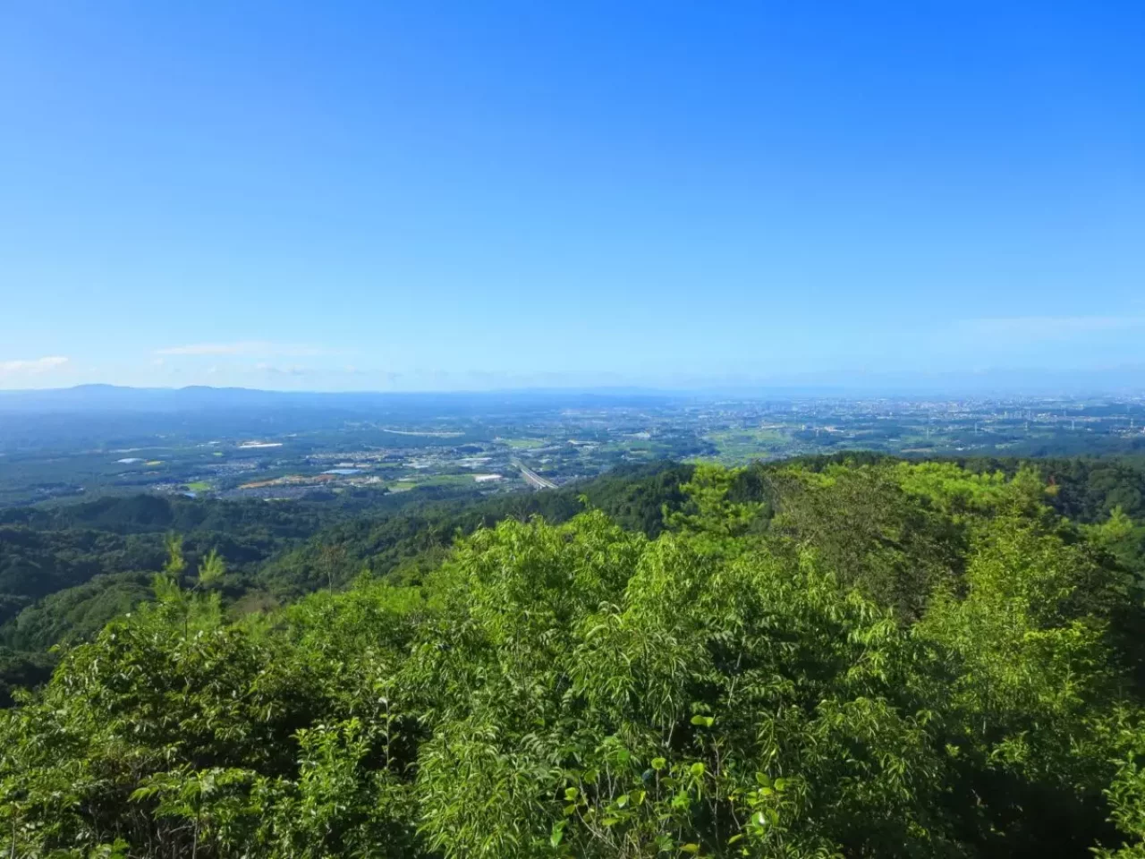 4月 登山 おすすめ 春山 猿投山