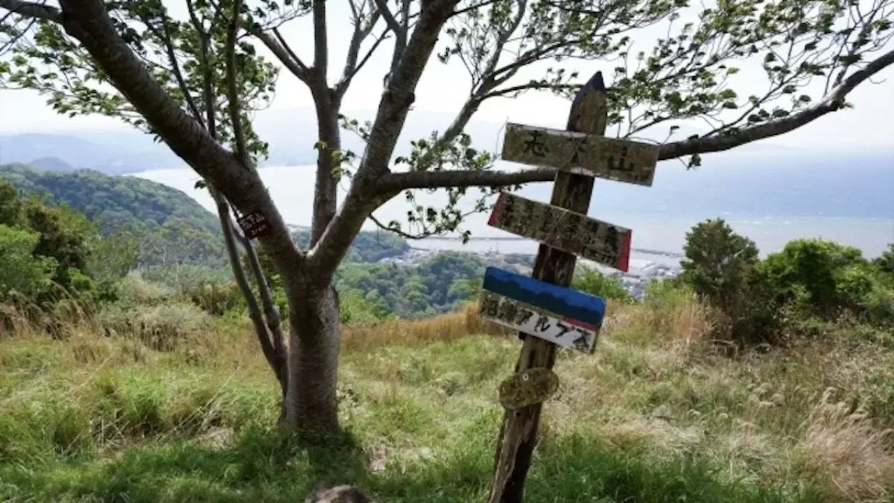 沼津アルプス 志下山