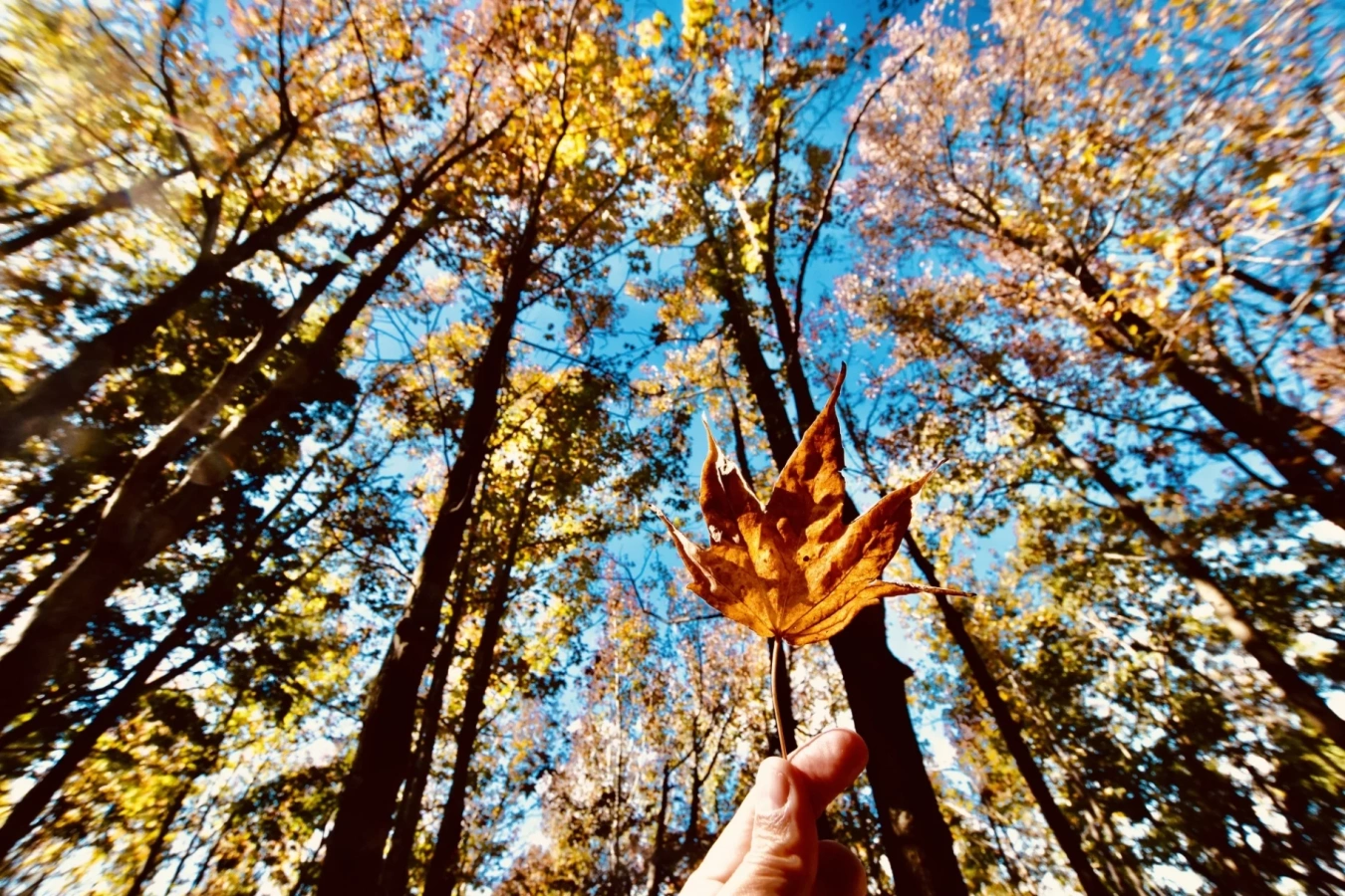 【2024年版】肌寒い秋から冬のミドルレイヤーまで大活躍!おすすめのフリース10選!