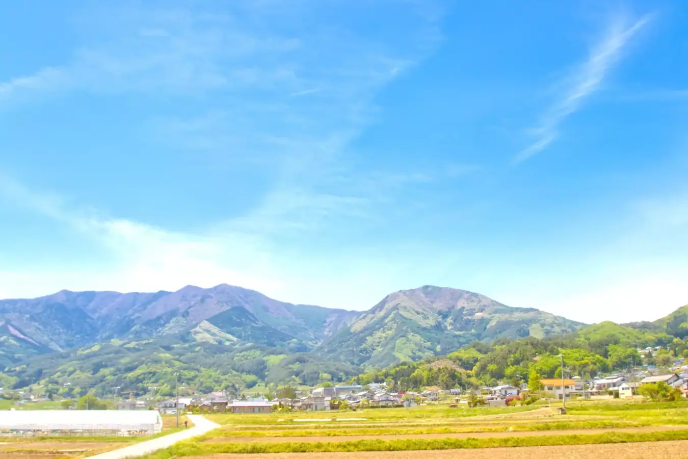 【初心者から楽しめる日帰り登山】十方を観望する圧巻の眺望!十観山の難易度別コース紹介