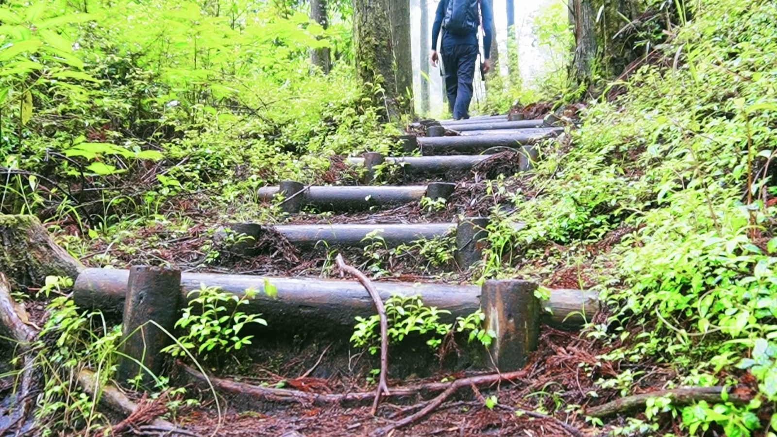 【2026年】登山レインウェアおすすめ12選!失敗しない選び方と山行スタイル別の最適解