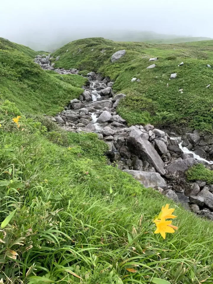 月山本沢の源流