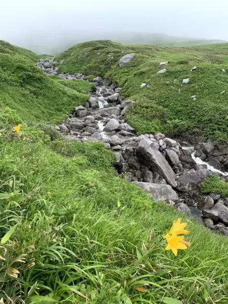 月山本沢の源流
