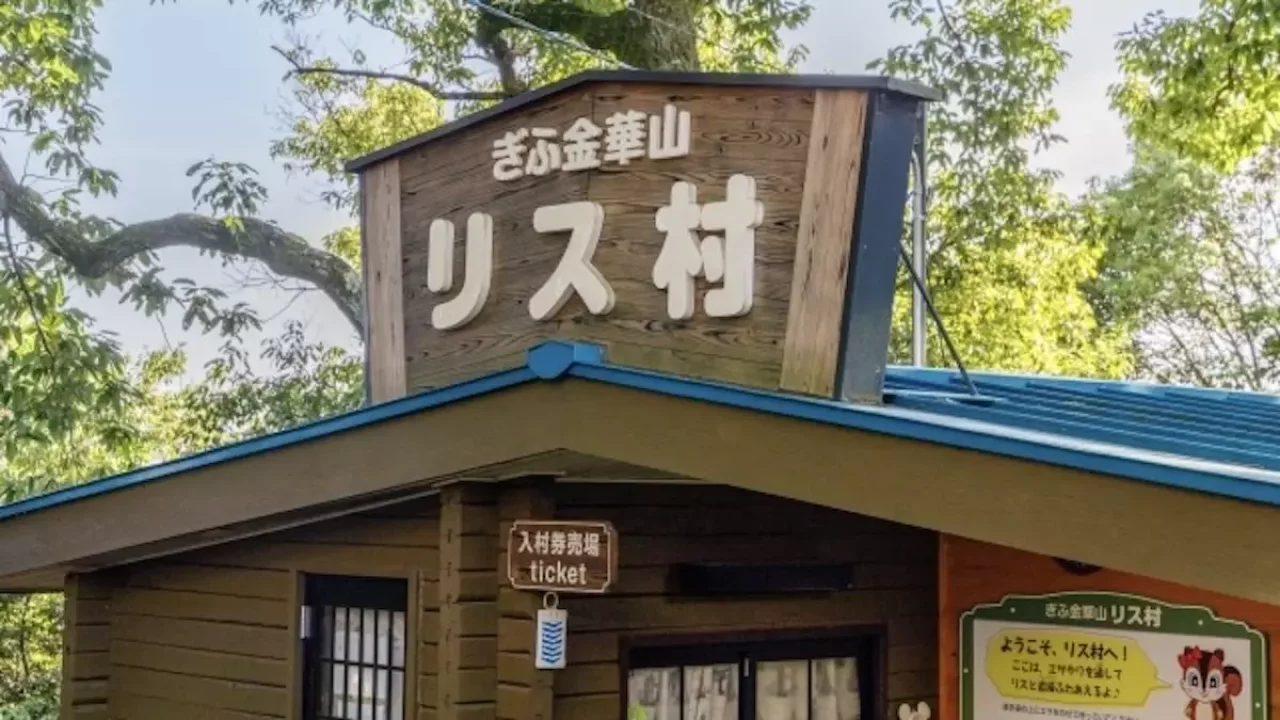 金華山 登山 リス村