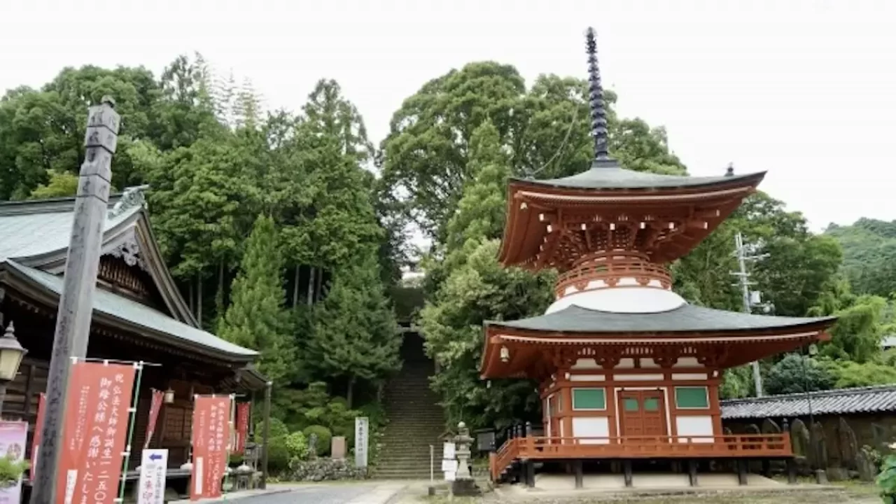 低山 ハイキング 関西 慈尊院