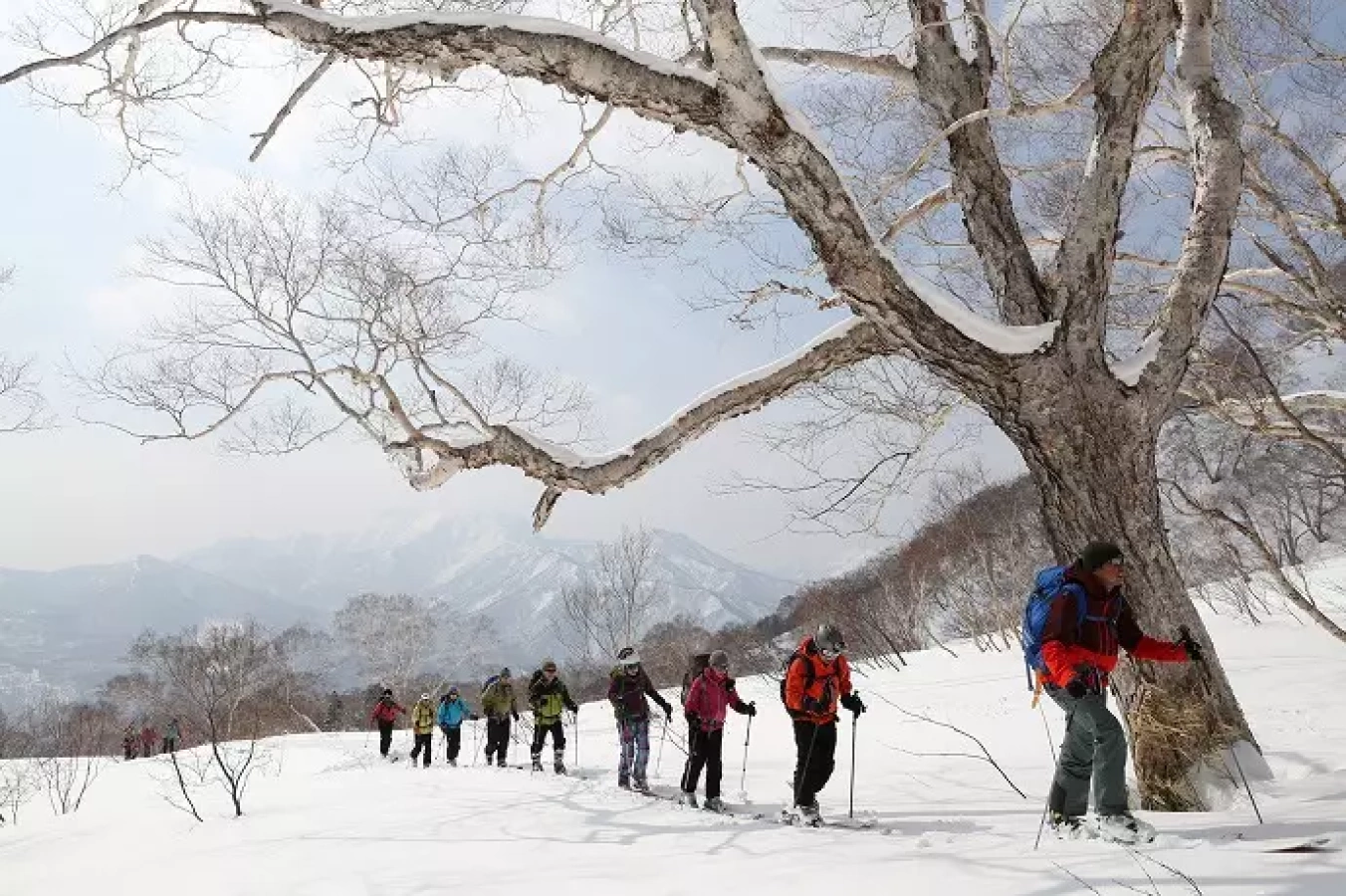 バックカントリー入門ツアーin妙高