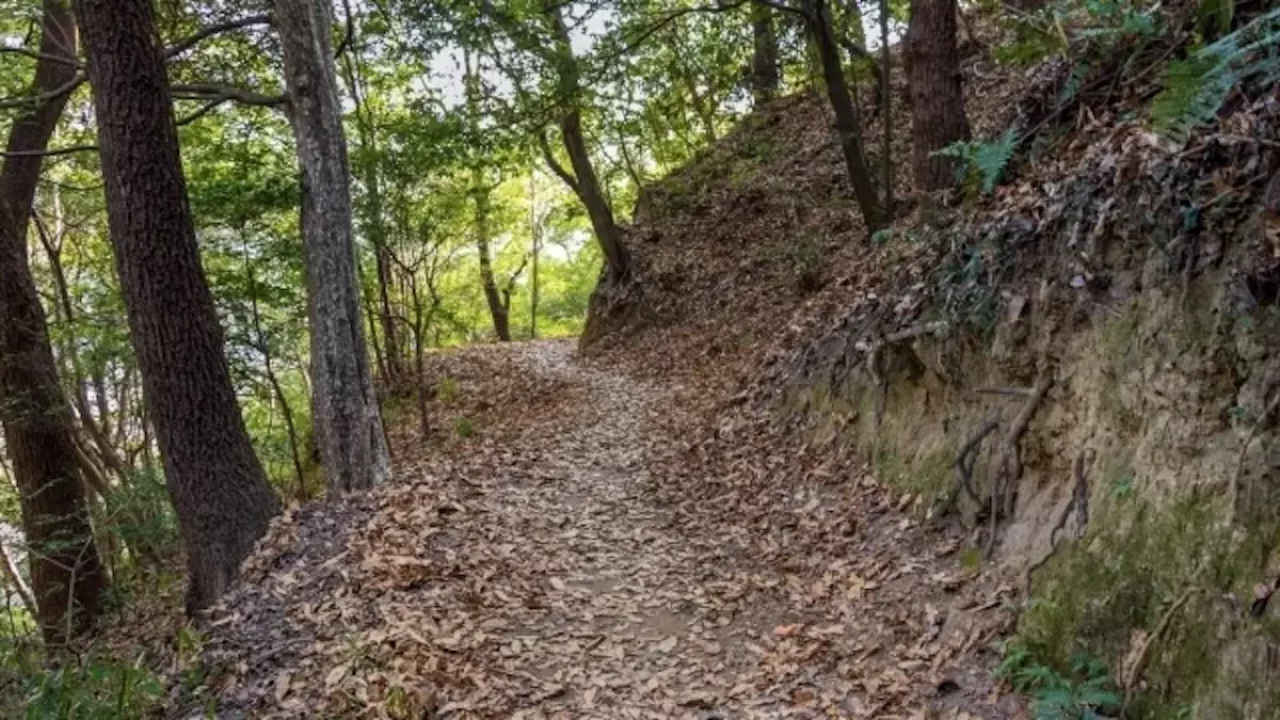 金華山 登山 七曲り登山道
