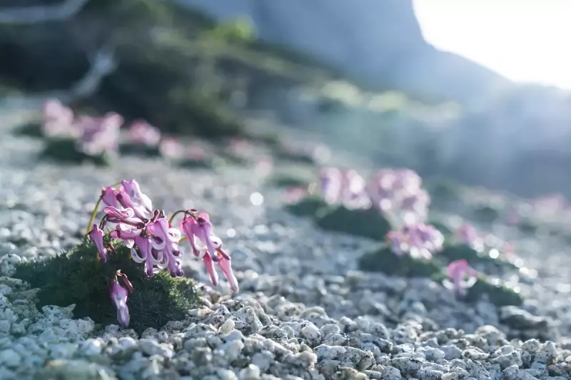 山で楽しめることを知る
