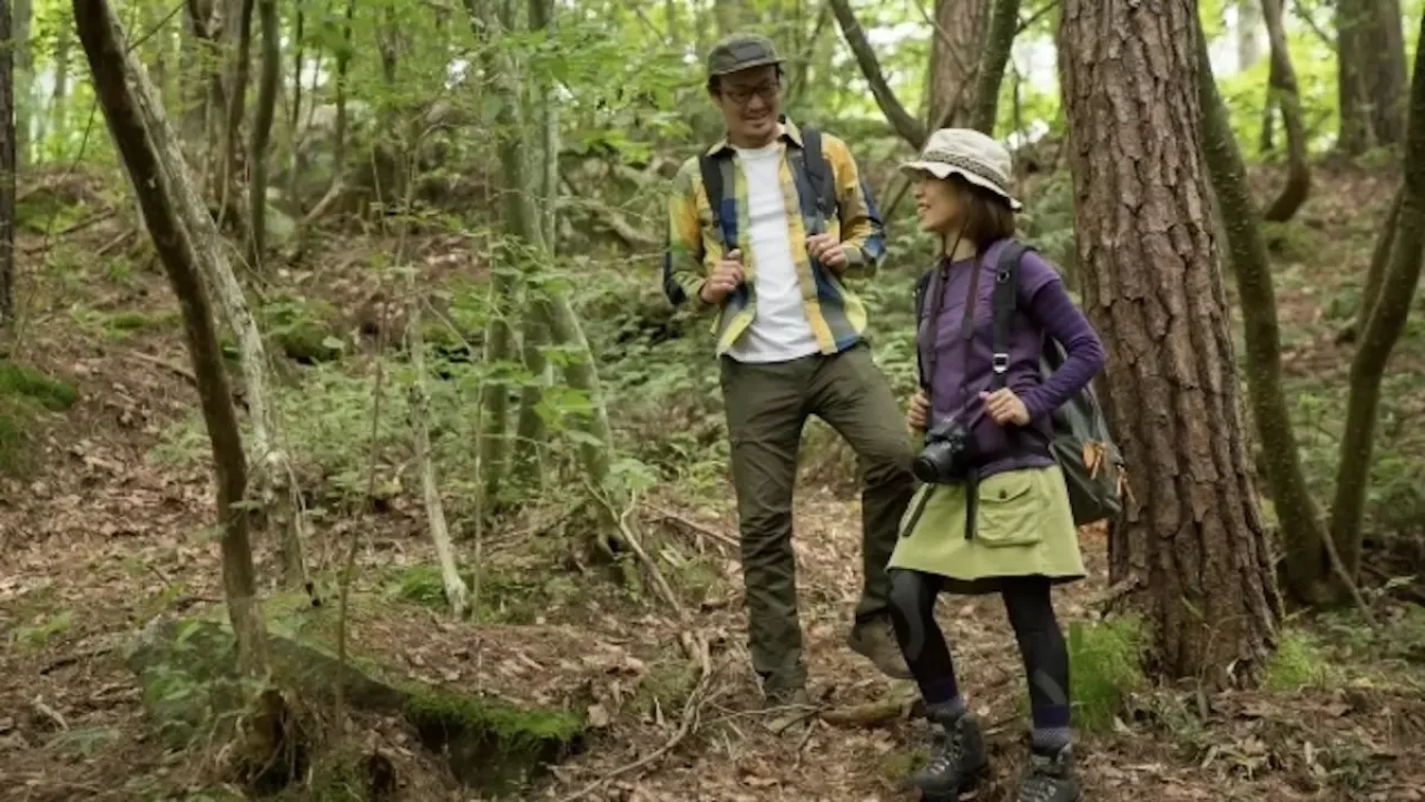 沼津アルプス 初心者におすすめの縦走ルート