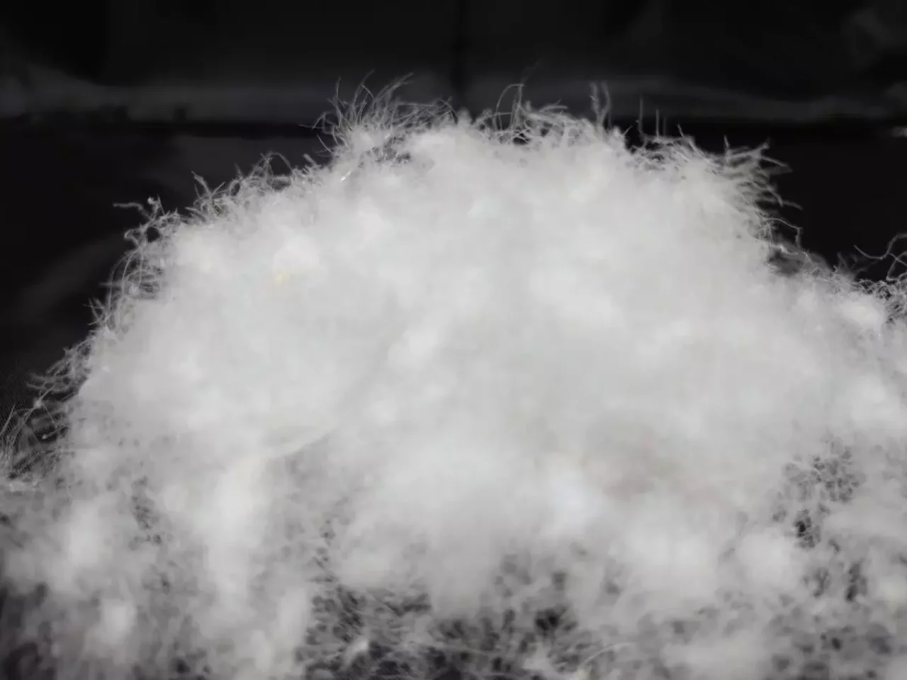 ダウンシュラフ 選び方 ヨーロピアンノーム