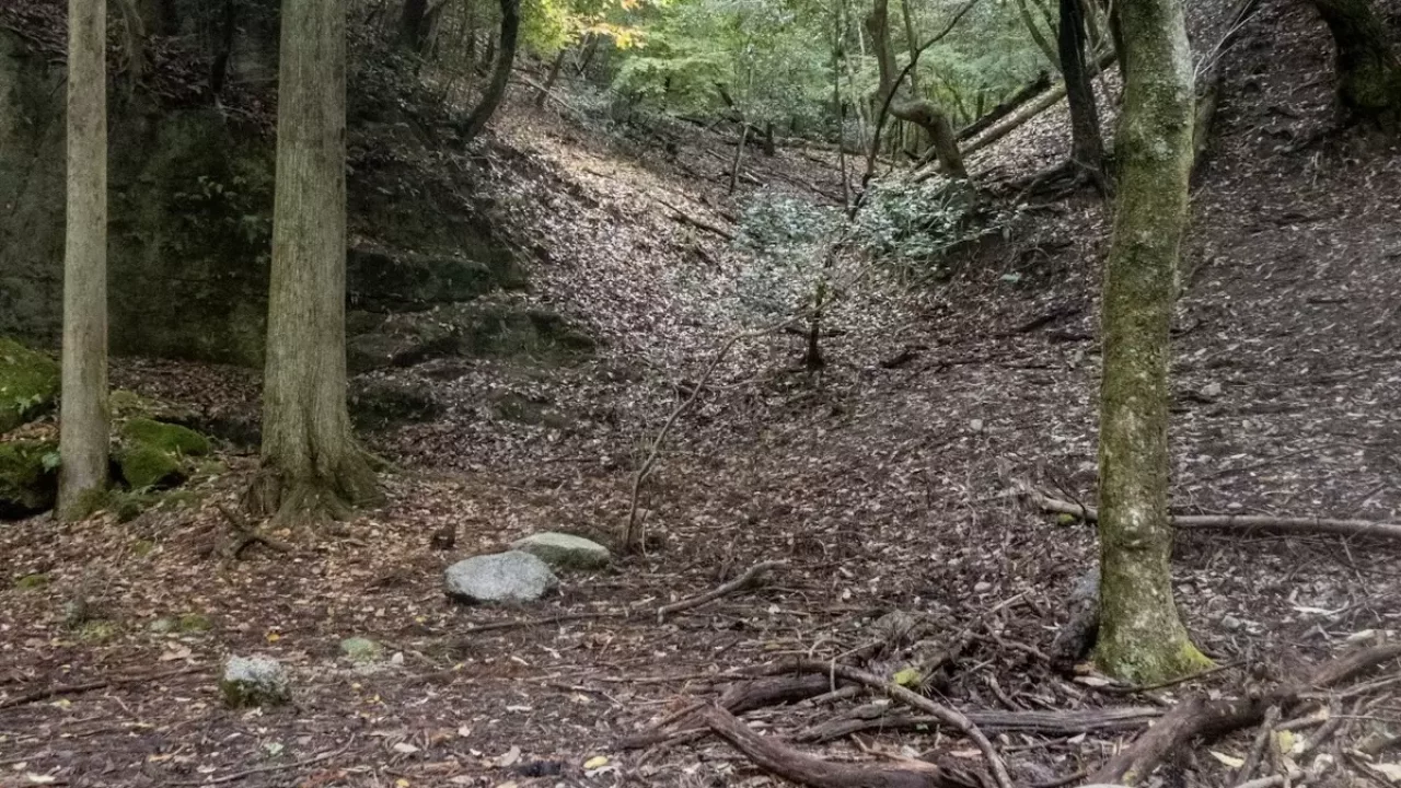 比叡山 登山 雲母坂登山道