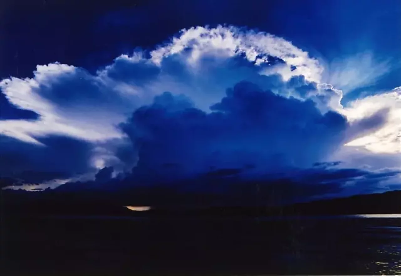 2.準グランプリ「風のいたずら」岡本 篤