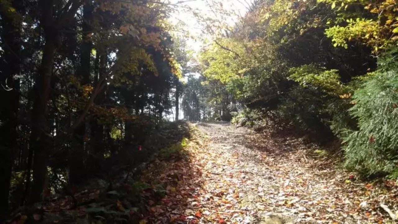 スーパーワイドアクションカメラ