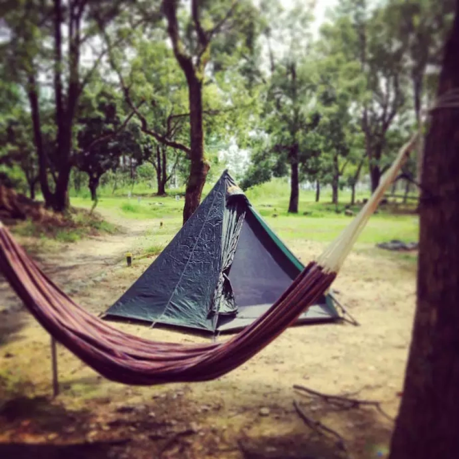 ゴーライト HEX3 フロアレスの名品テント