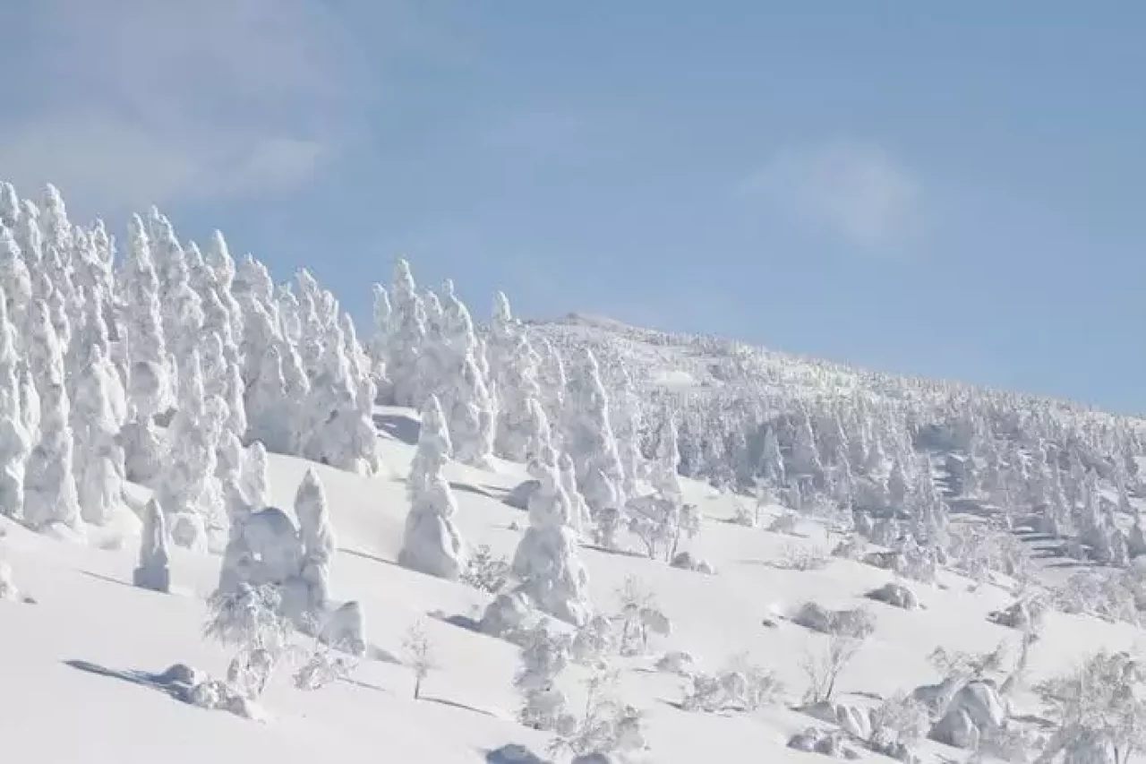 阿仁ゴンドラで行く 森吉山の樹氷鑑賞