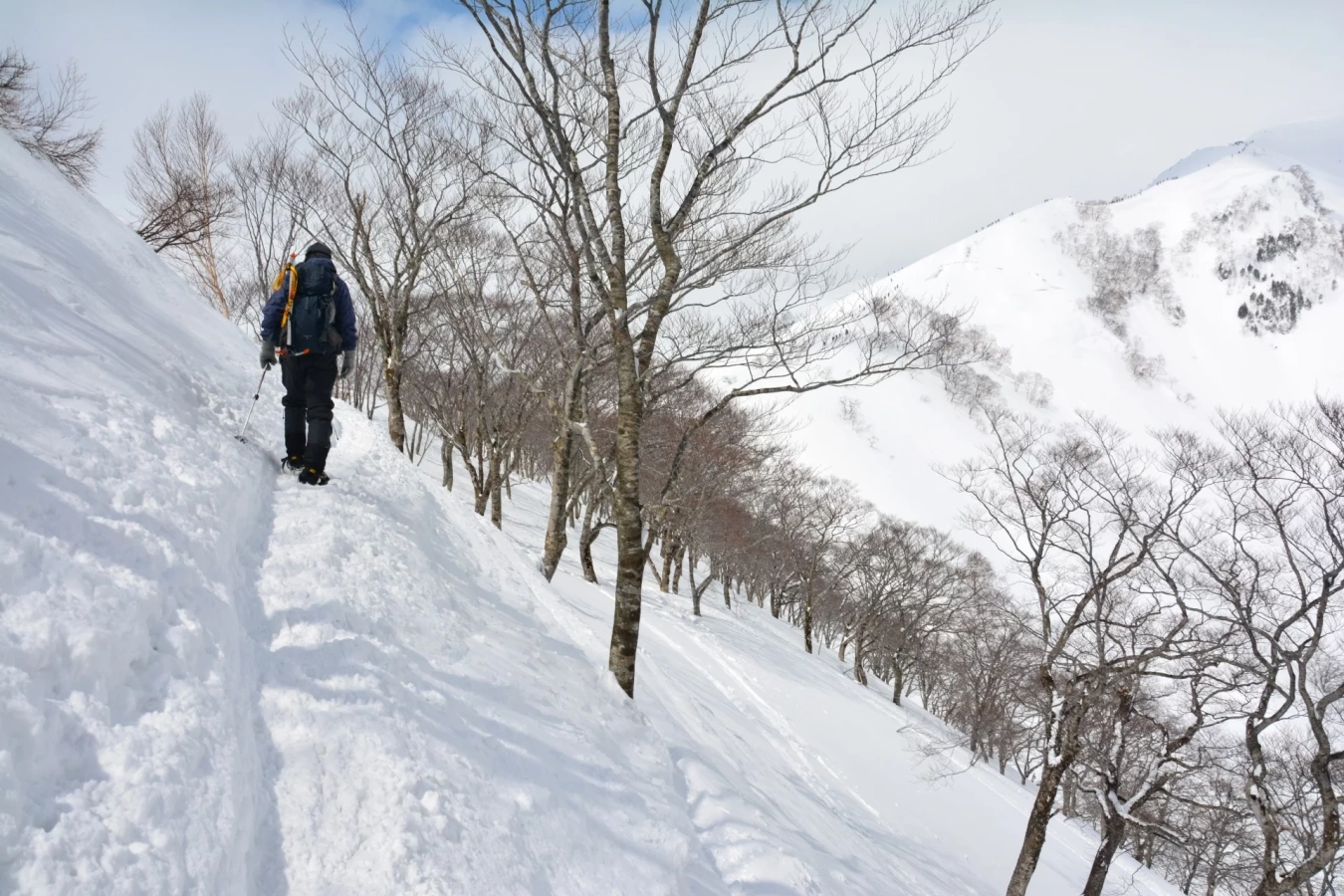 【2024年版】冬山登山の必須装備!ハードシェルパンツのおすすめ10選!