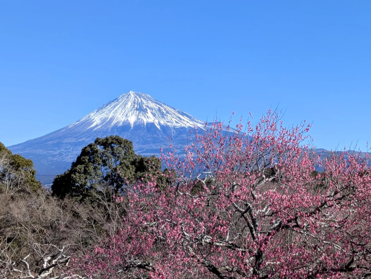 【2025年】春登山にちょうどいい!ウインドブレーカーの選び方と厳選モデル8選!