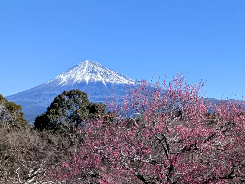 【2025年】春登山にちょうどいい!ウインドブレーカーの選び方と厳選モデル8選!|ウィンドブレーカー|登山ウェア|山のモノ|登山・トレラン・山スキーマガジン「山旅旅」