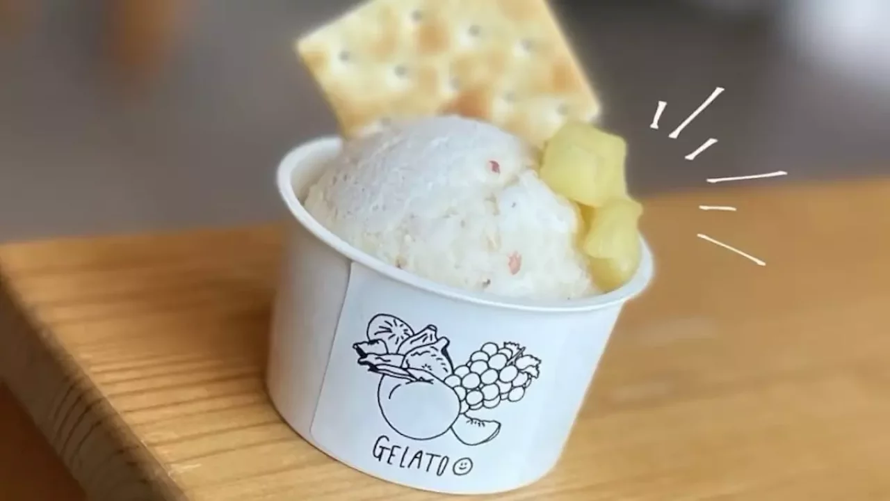 低山 ハイキング 関西 藤桃庵