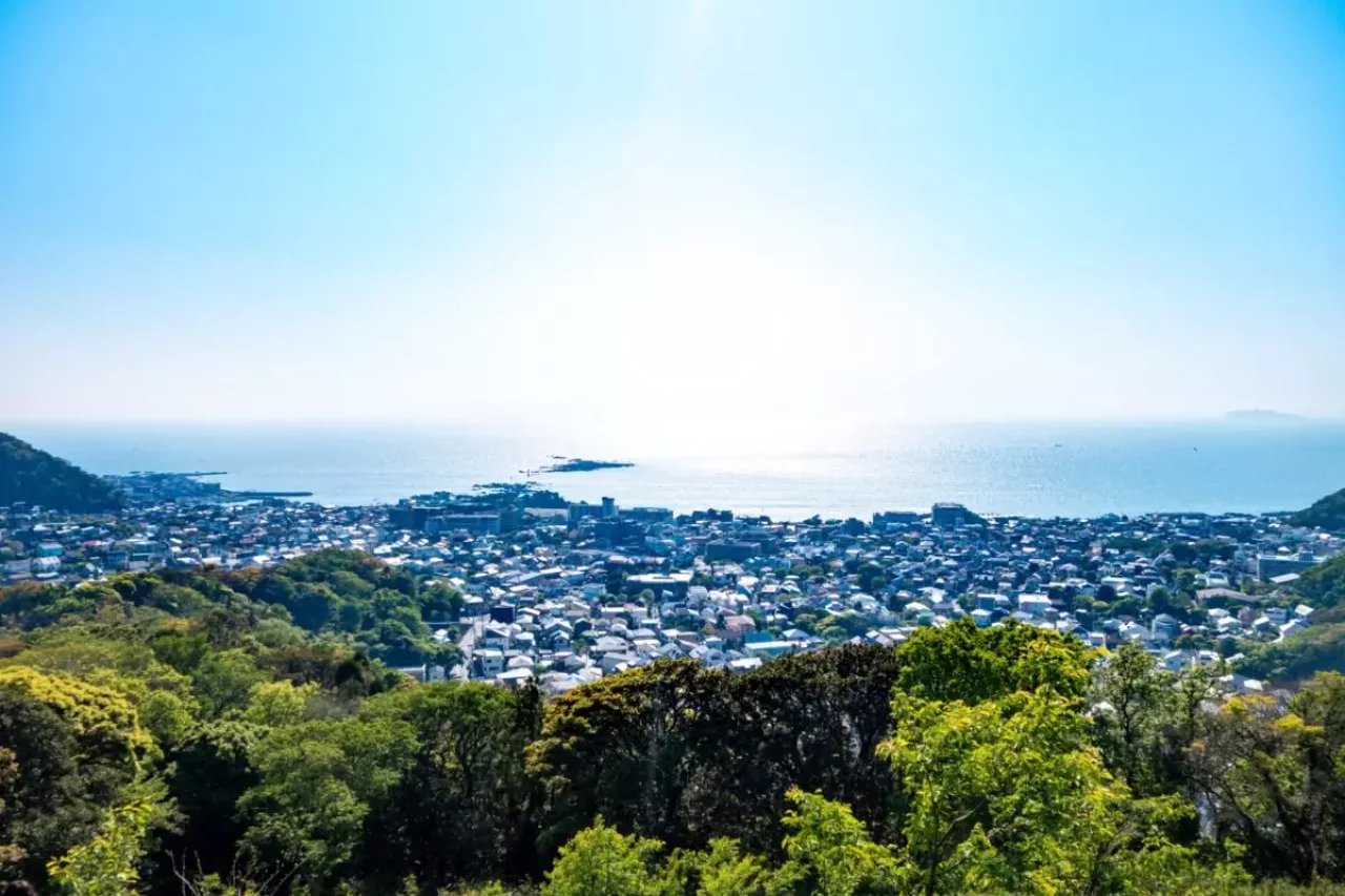 縦走登山 おすすめ 眺望 仙元山
