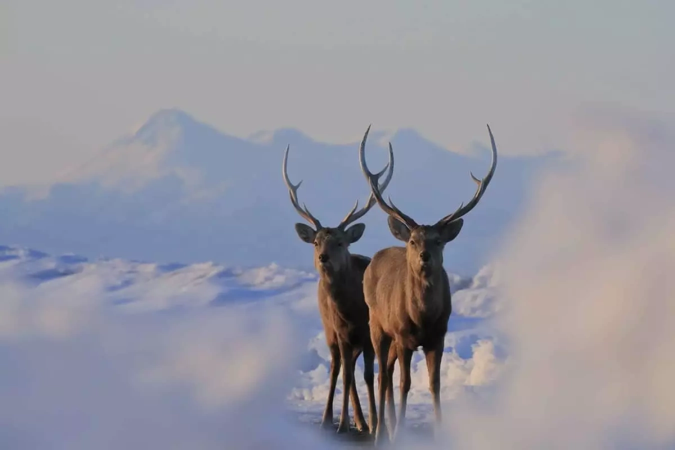 山本 純一 写真展:The sun also rises~日はまた昇る~