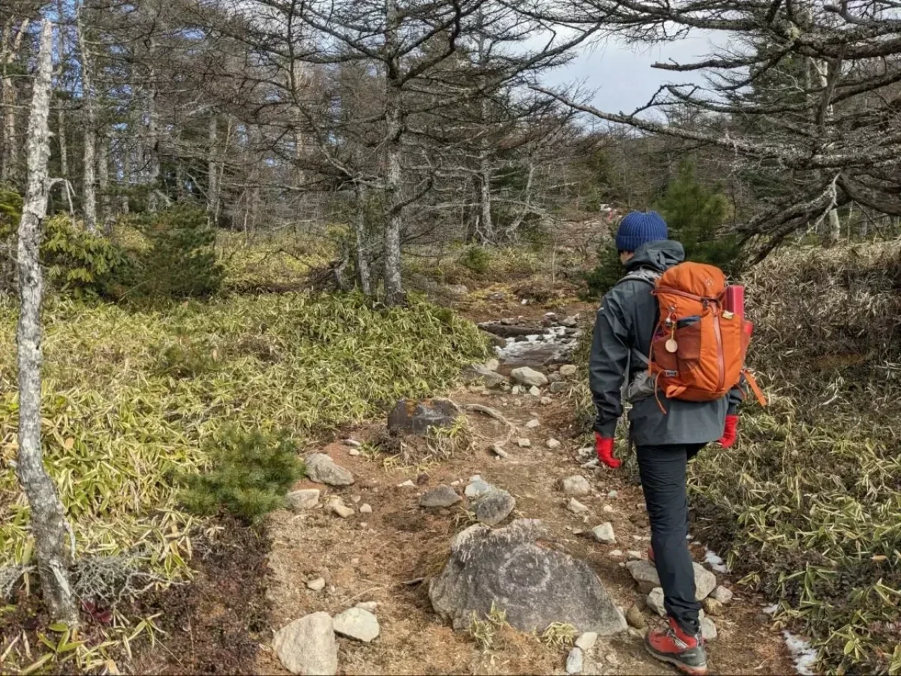 笹原と岩の登山道を登る