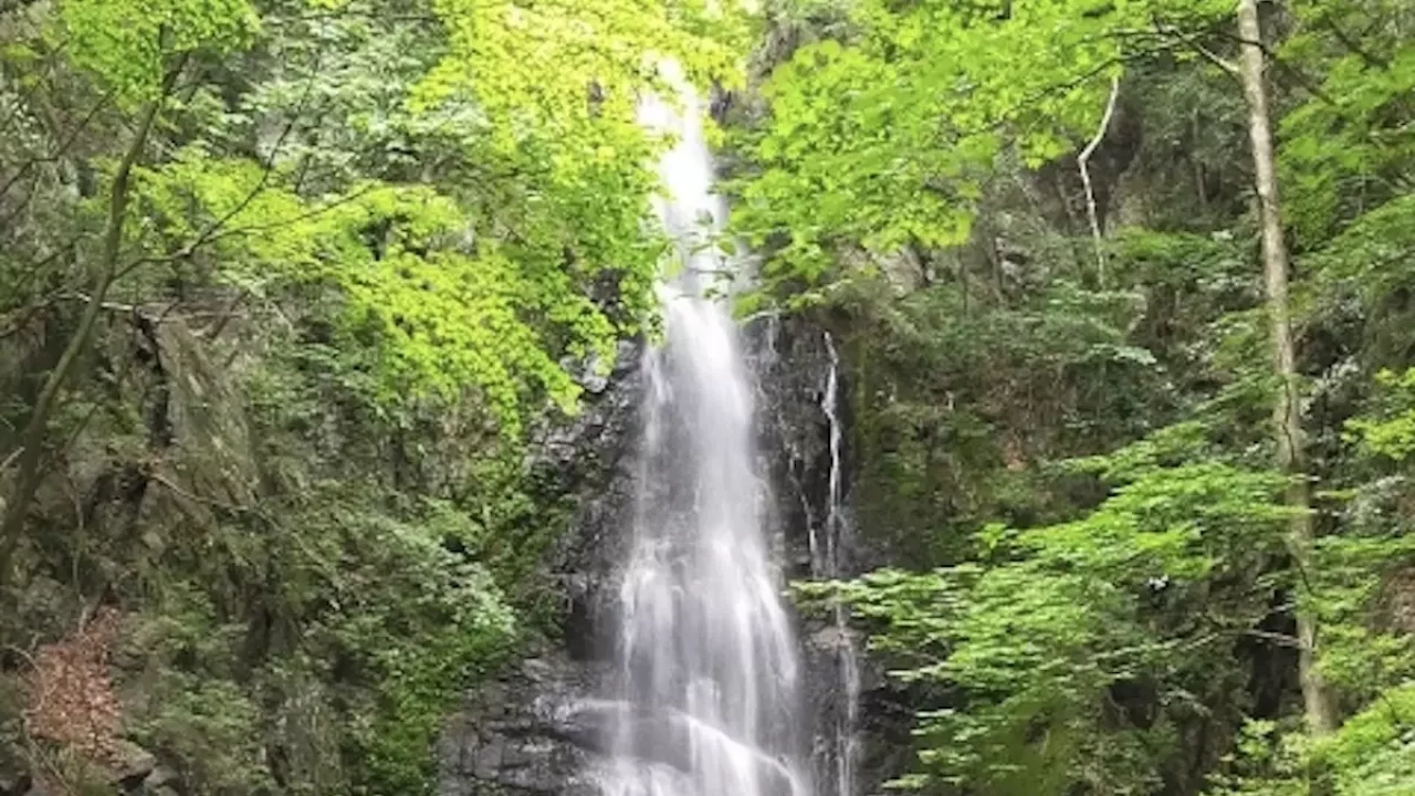 奥多摩 登山 川苔山 百尋ノ滝