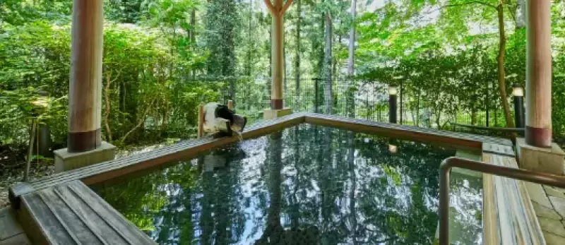 奥多摩温泉 もえぎの湯
登山 温泉