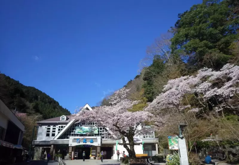 春山 登山 おすすめ 高尾山